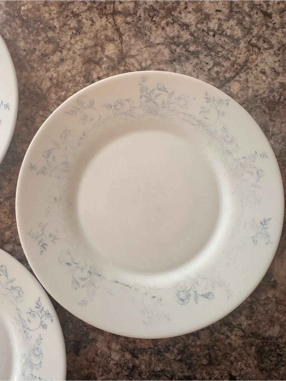 Vintage Arcopal Glenwood Plate-set of 3